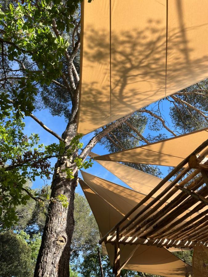 Bed & Breakfast La Bastide Des Grands Chenes *